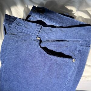 Banana Republic Navy Corduroy Skinny Sz. 14